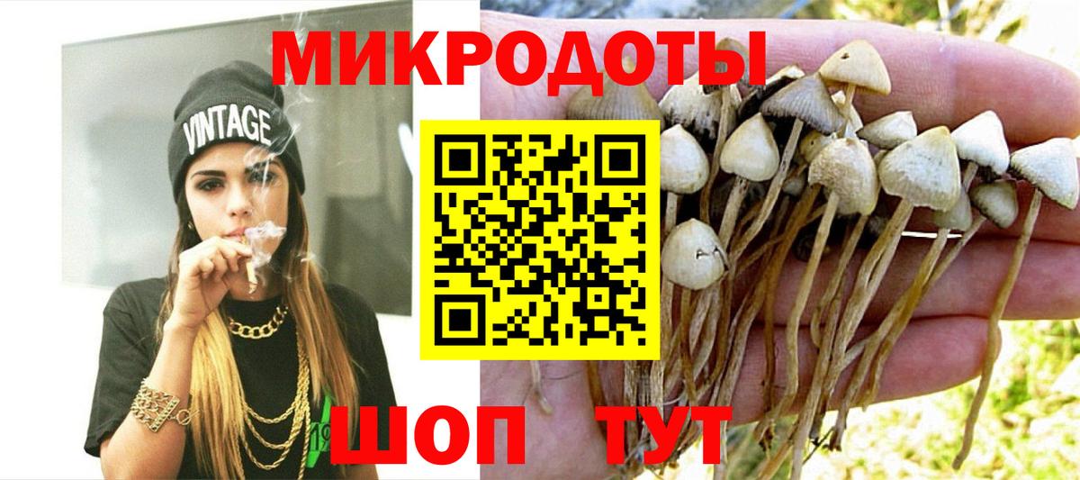 Псилоцибиновые грибы прущие грибы  Вход с VPN  Чита 